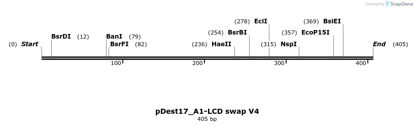 444131_map