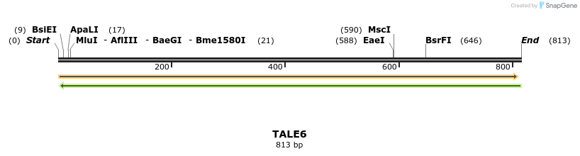 44414_map