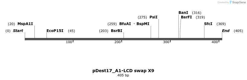444141_map