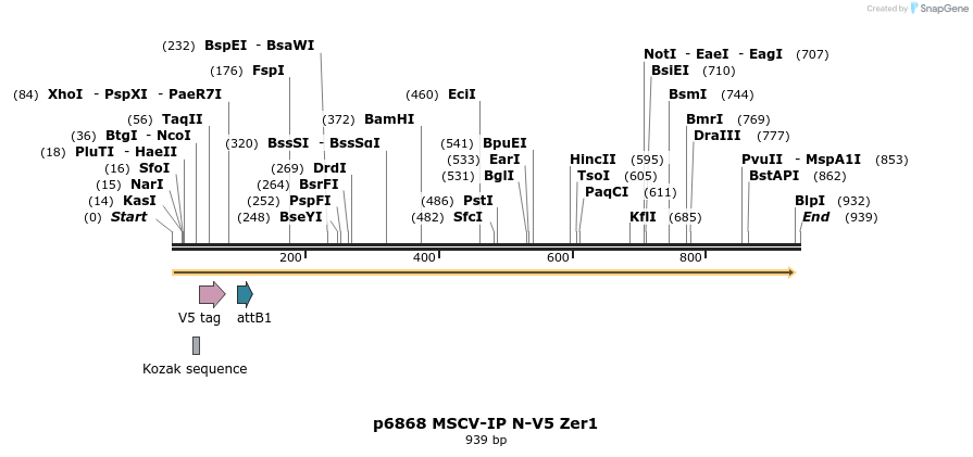 44416_map