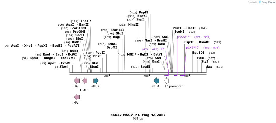 44425_map