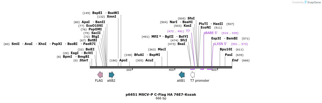 44427_map