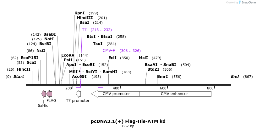 44444_map