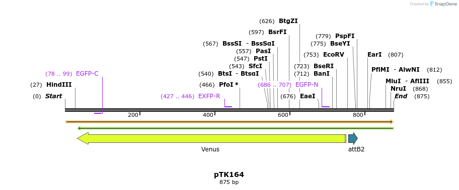 44449_map