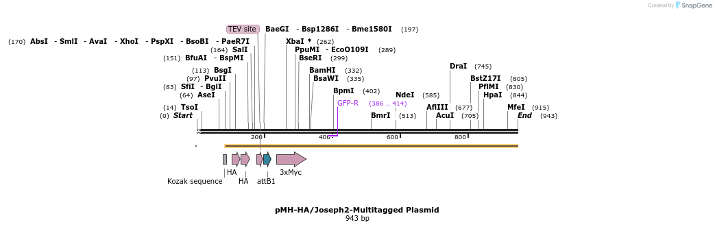 444504_map