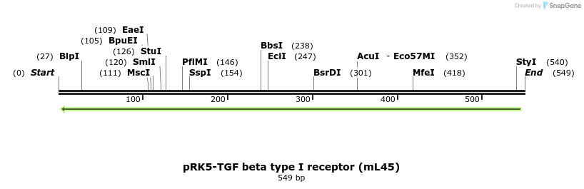 44451_map