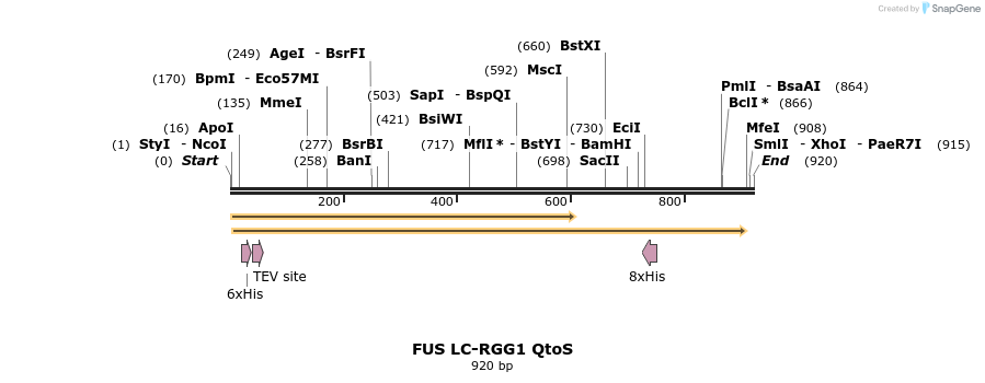 444513_map