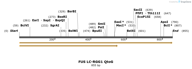 444517_map