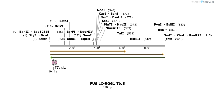 444520_map