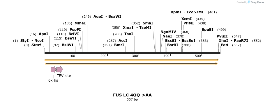 444527_map