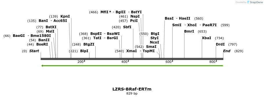 44458_map
