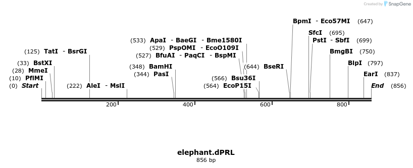 44465_map