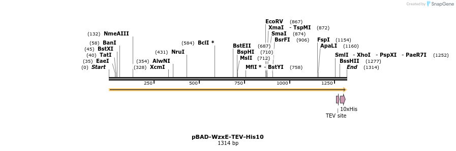 444661_map