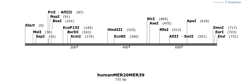 44467_map