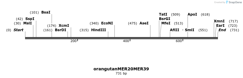 44468_map