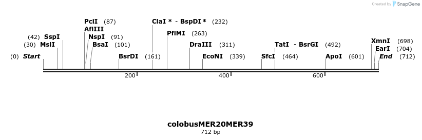 44469_map