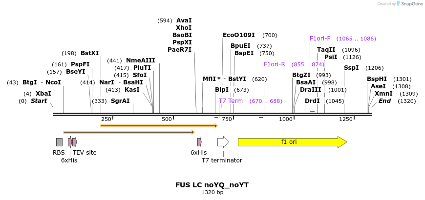 444710_map