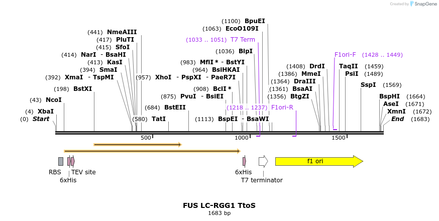 444716_map