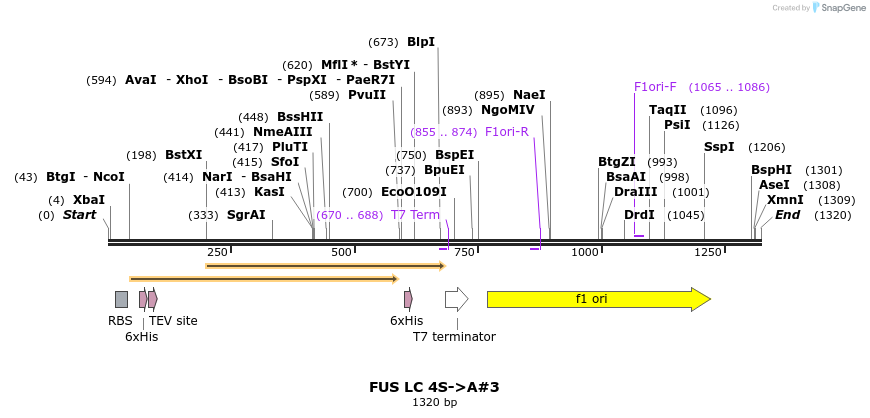 444718_map