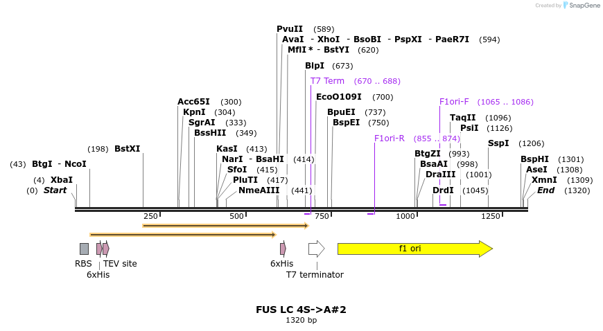 444719_map