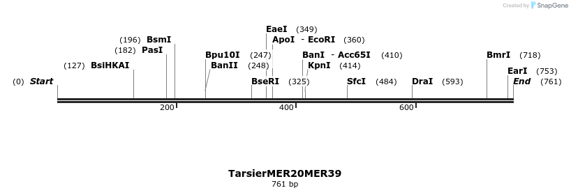 44472_map