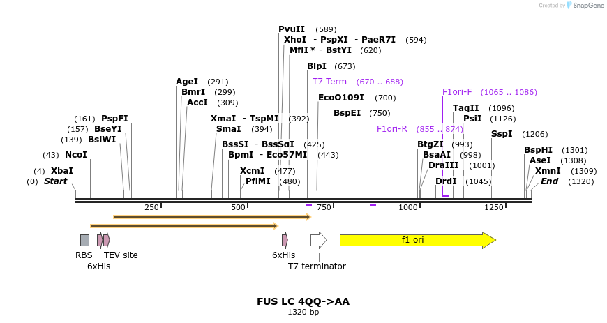 444723_map