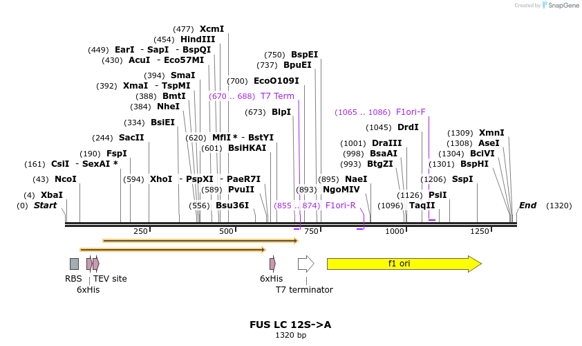 444725_map