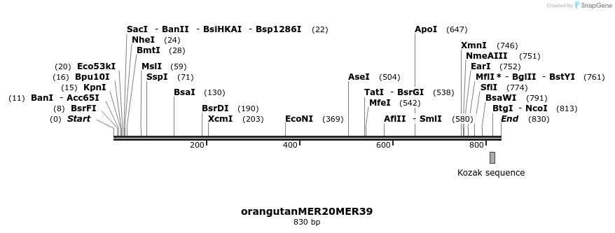 44473_map