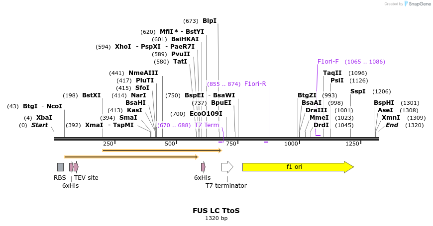 444731_map