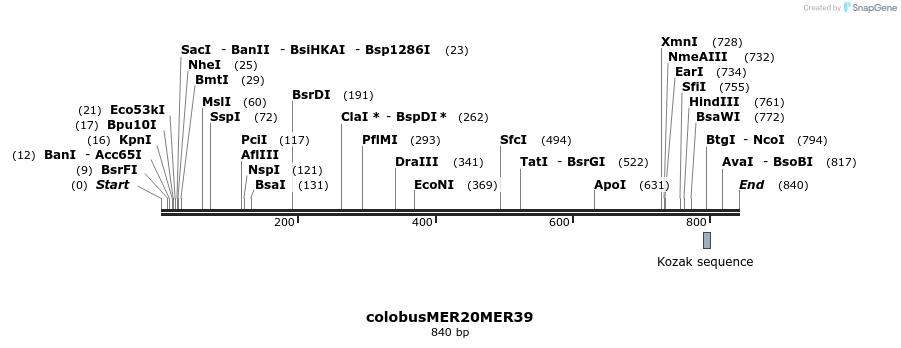 44476_map
