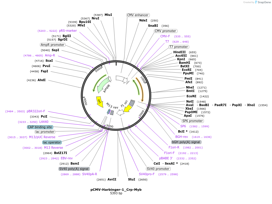 444801_map
