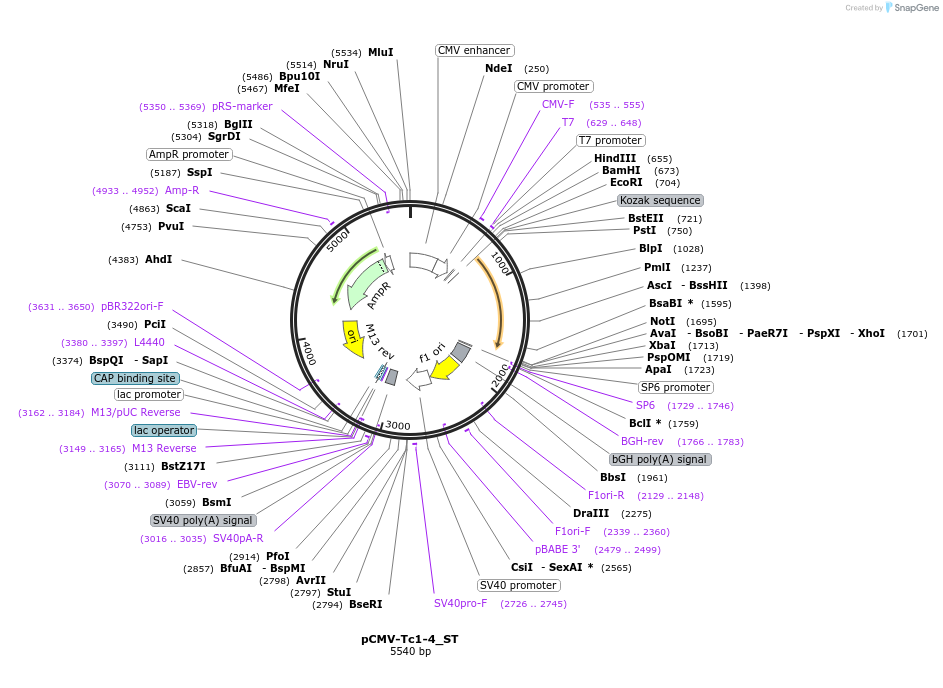444810_map