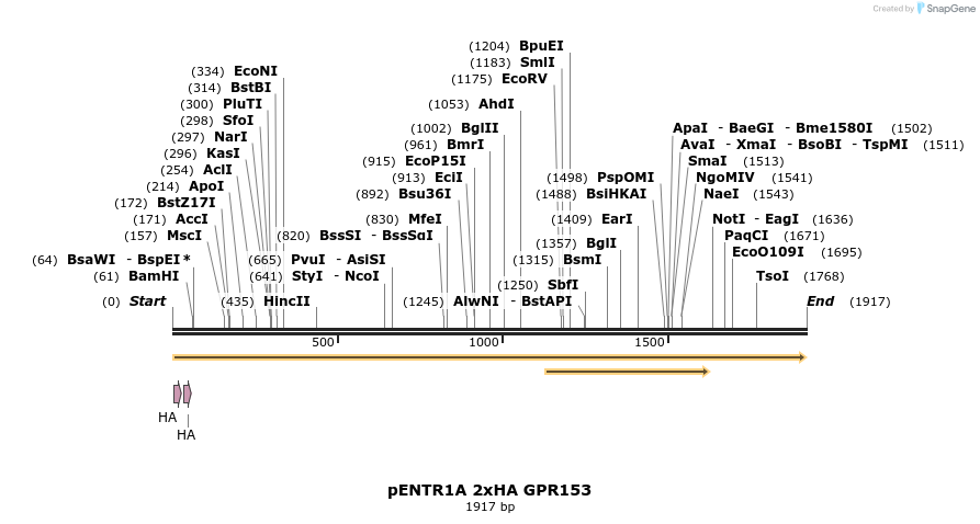 444901_map