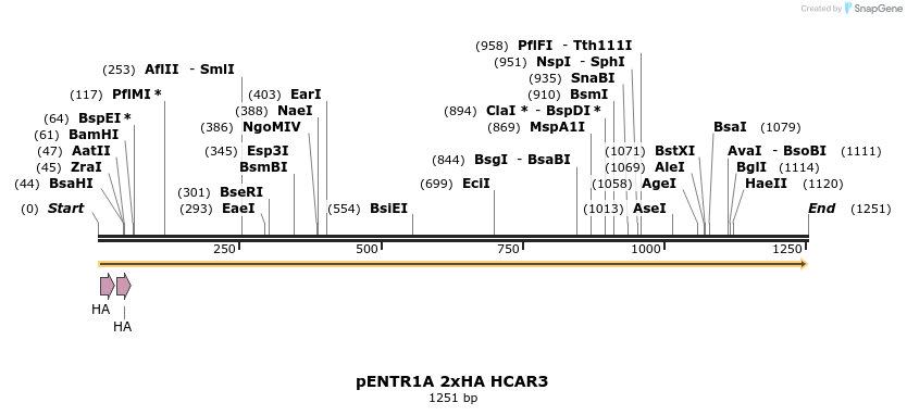 444902_map