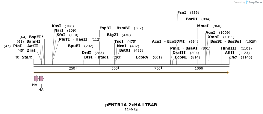 444903_map