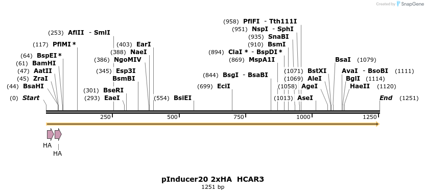 444904_map