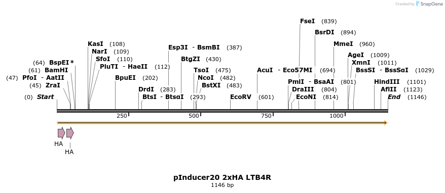 444905_map