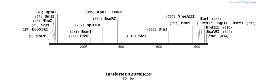 44492_map