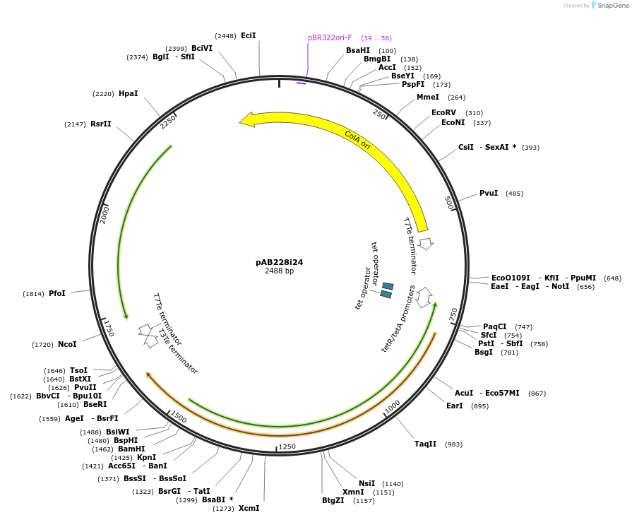 209739-plasmid-map-sequence-id-444959