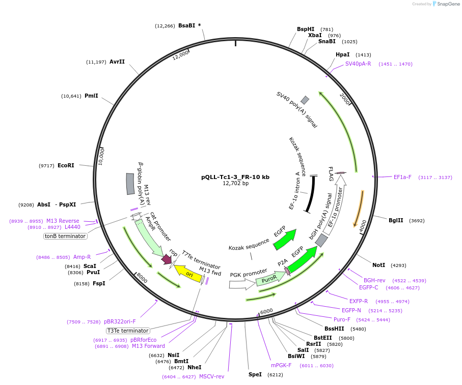 445030_map
