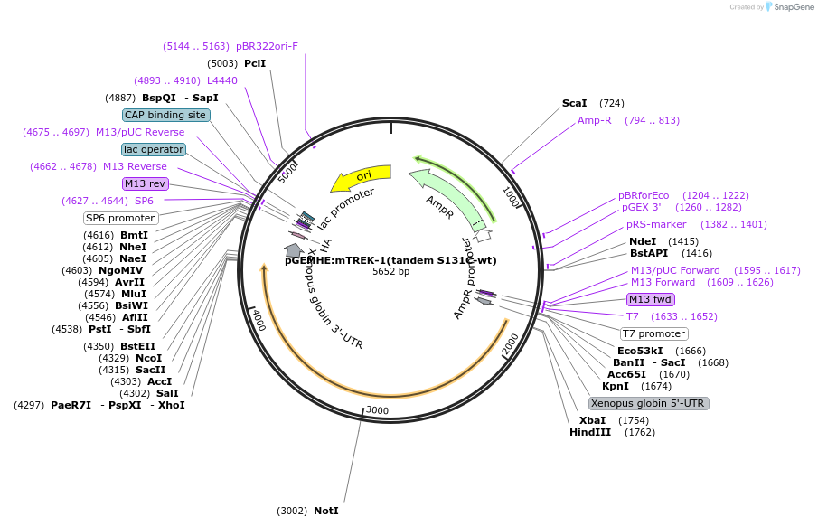445040_map