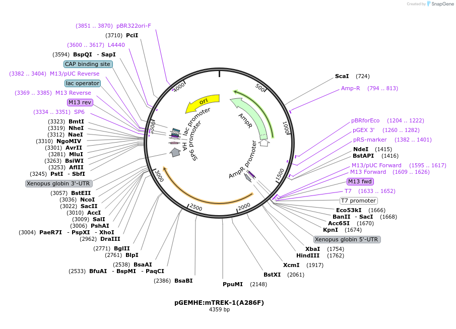 445050_map