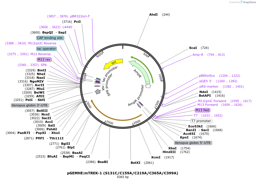 445090_map