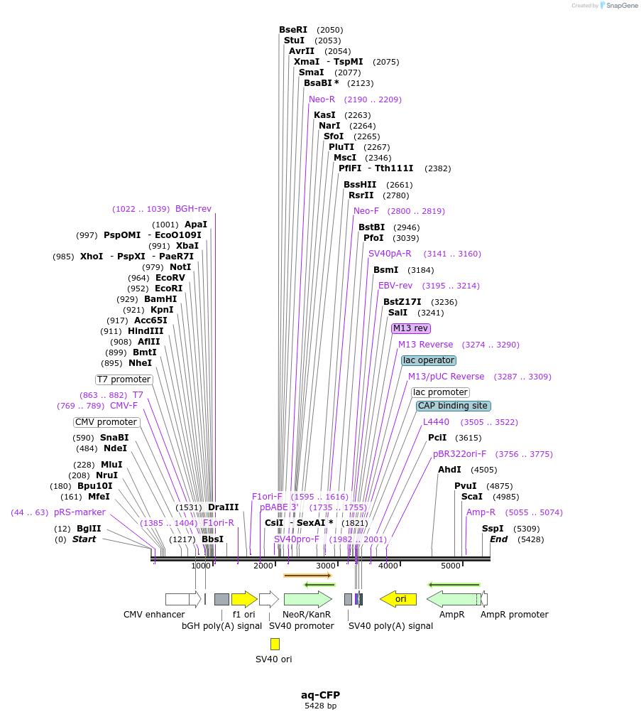 44525_map