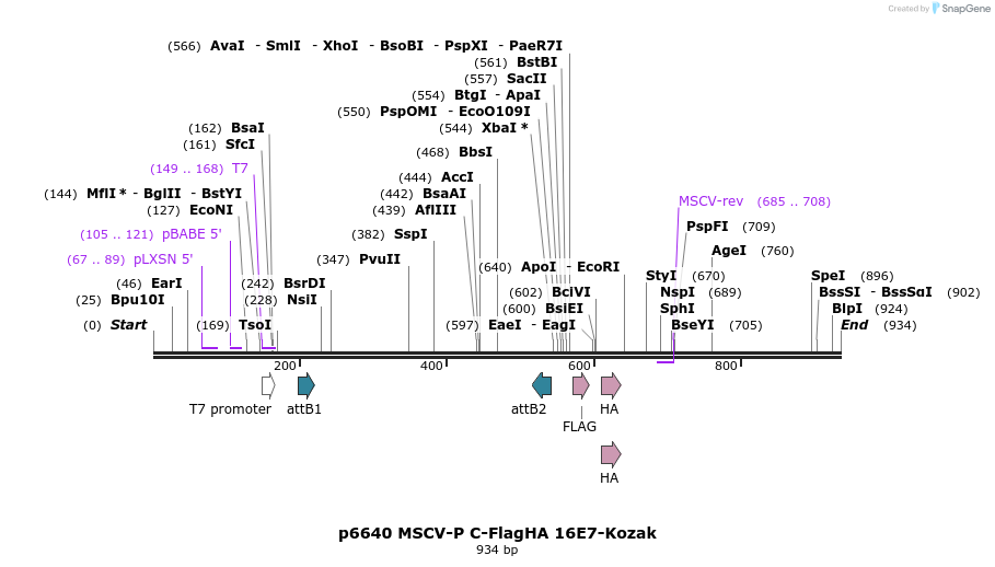 44526_map