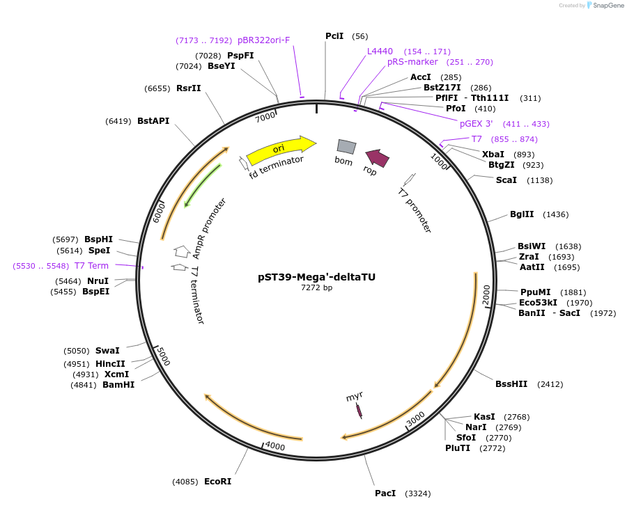 445261_map