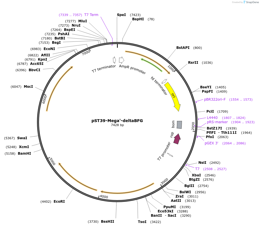 445272_map