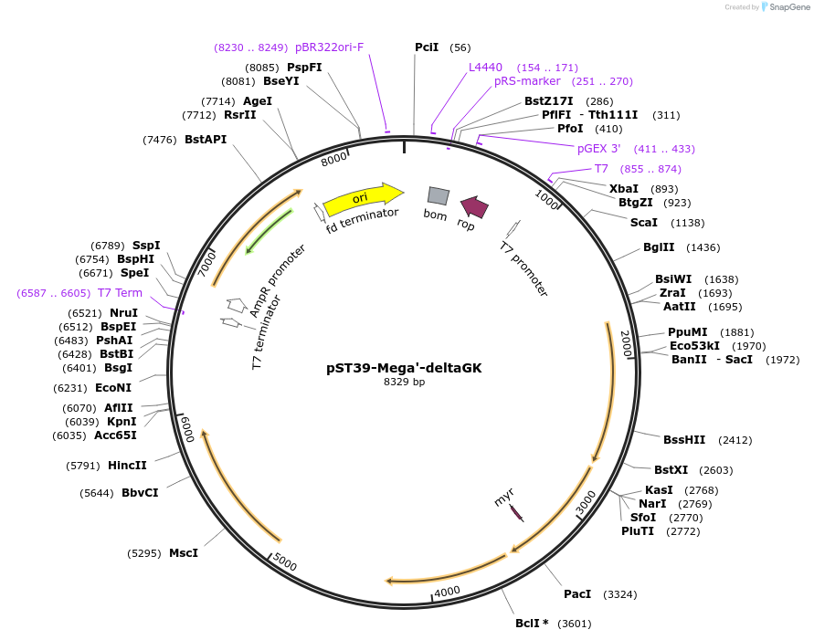 445277_map
