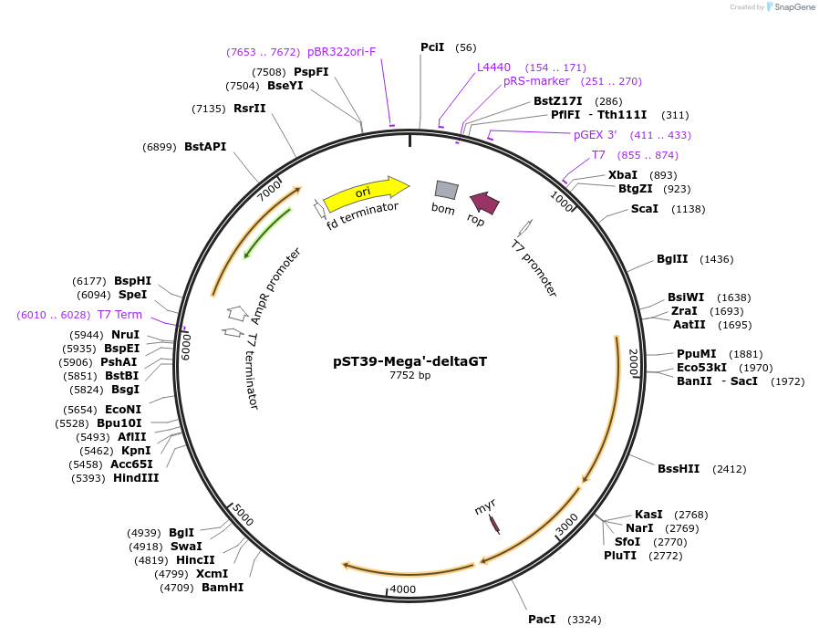 445286_map