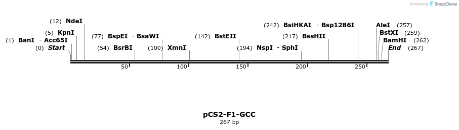 44532_map
